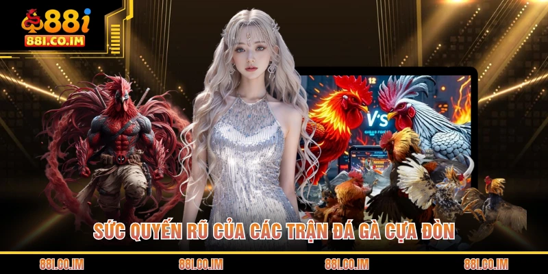 Đá Gà Cựa Đòn - Đấu Trường Tranh Tài Của Những Chiến Kê 1 Sức quyến rũ của các trận đá gà cựa đòn