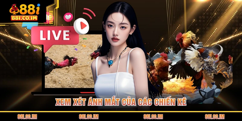 Đá Gà Cựa Sắt - Trải Nghiệm Những Trận Đấu Nảy Lửa 3 Xem xét ánh mắt của các chiến kê